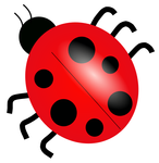ladybug_01.png