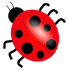 ladybug_01.png