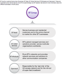 btplc structure.png