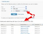 Screenshot of Billing / View Calls