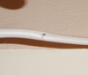 btcable1.png