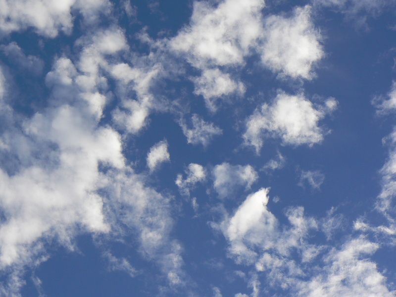 MP900448756.JPG
