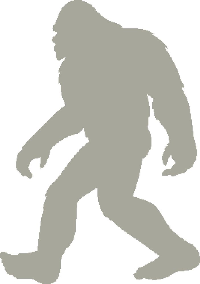 yeti window.jpg