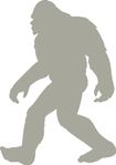 yeti window.jpg