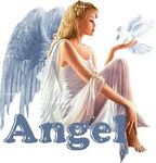 Public (angeljs)