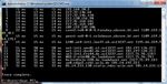 ping3.jpg