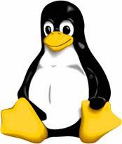 penguin.jpg