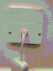 pic1.gif