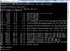 tracert.JPG
