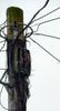 bt-lineconnections.jpg