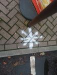 2012-11-26 c.jpg