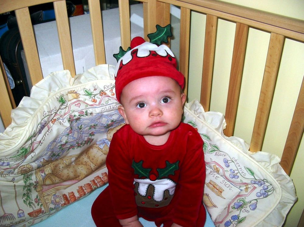 Alex as a xmas pud.jpg