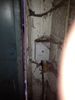 image (1).jpeg