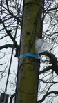 DSC00025.JPG