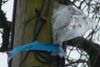 DSC00025a.jpg