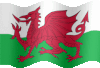 welsh flag still.gif
