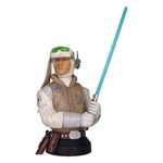 Public (skiffguard)