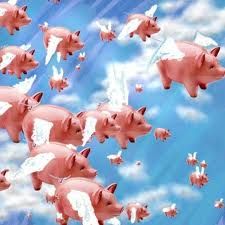 Pigs Might Fly.jpg