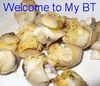 MyBT Whelks.jpg