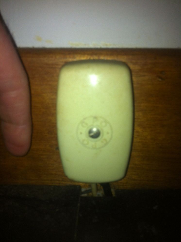 photo.JPG