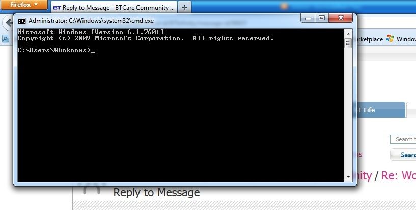 cmd window..jpg