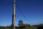 DSC00230.jpg