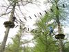 goape-0339.jpg