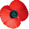 Poppy.gif