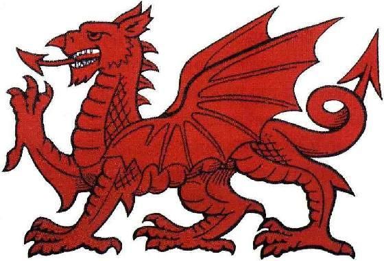 the_welsh_dragon-barry1.jpg