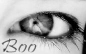 Bexyboo