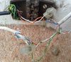 Wiring.jpg