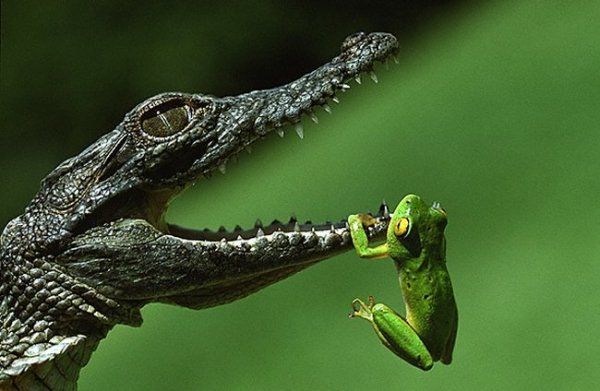 Hang In There Baby!