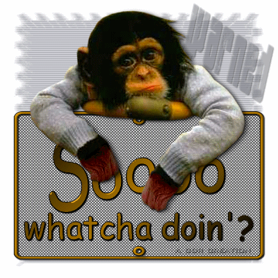 Monkey.gif