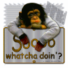 Monkey.gif