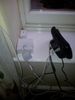 IMG_20131107_114519.jpg