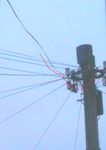 wire.jpg