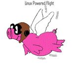 pig2.JPG