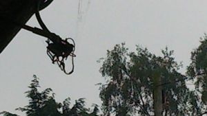 wire bt.jpg