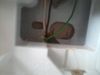 2011-01-01 00.05.49.jpg