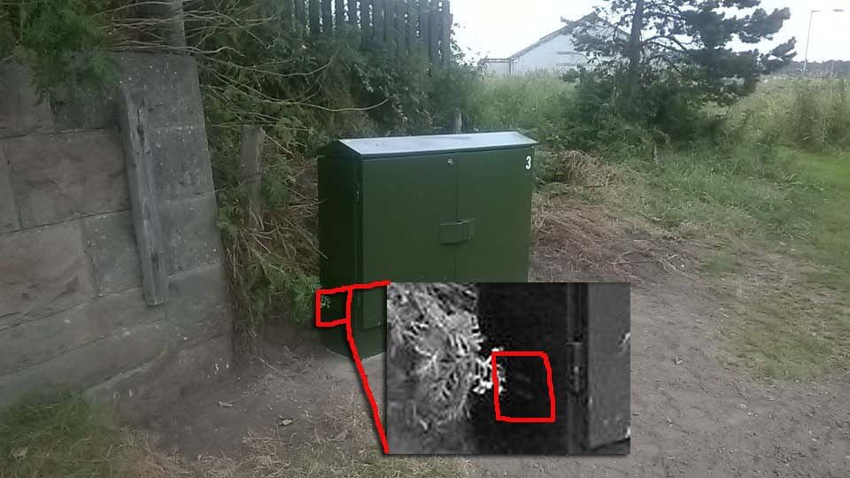 Test123.jpg