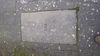 pavement cover.jpg