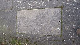 pavement cover.jpg