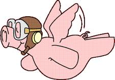 FLYING PIG.png