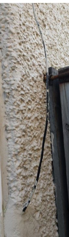 Picture1.jpg