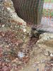 20141129_105734_resized1.jpg