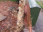 20141129_105621_resized1.jpg