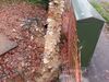 20141129_105621_resized1.jpg