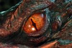 smaug eye.jpg