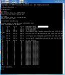 tracert.JPG