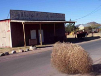 Ghost-town-tumbleweed.png